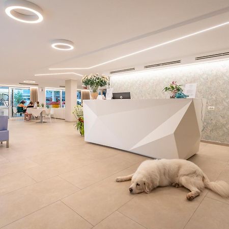 Hotel San Domingo Bellaria-Igea Marina Dış mekan fotoğraf