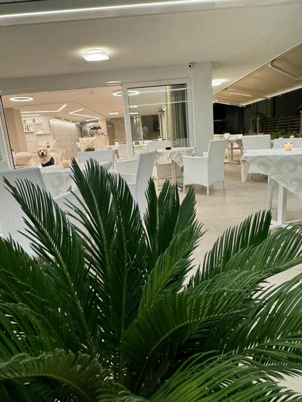 Hotel San Domingo Bellaria-Igea Marina Dış mekan fotoğraf