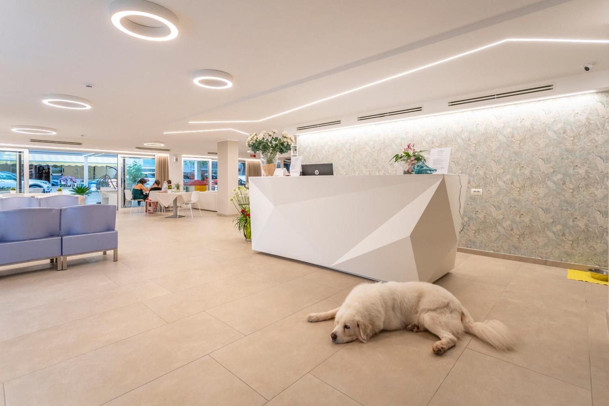 Hotel San Domingo Bellaria-Igea Marina Dış mekan fotoğraf